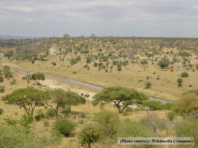 Animal & Conservation Micke Grove Zoo San Joaquin County Parks & Recreation