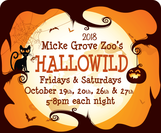 Save The Date: Micke Grove Zoo's Hallowild, October 23 & 24. 5-8pm
