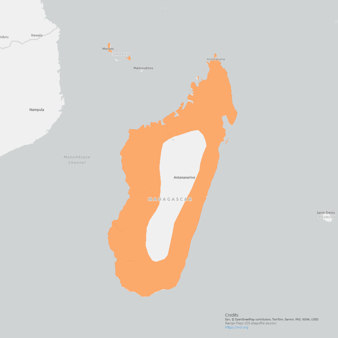 Back Parrot Range Map showing the coastal regions of Madagascare and islands to the Northwest