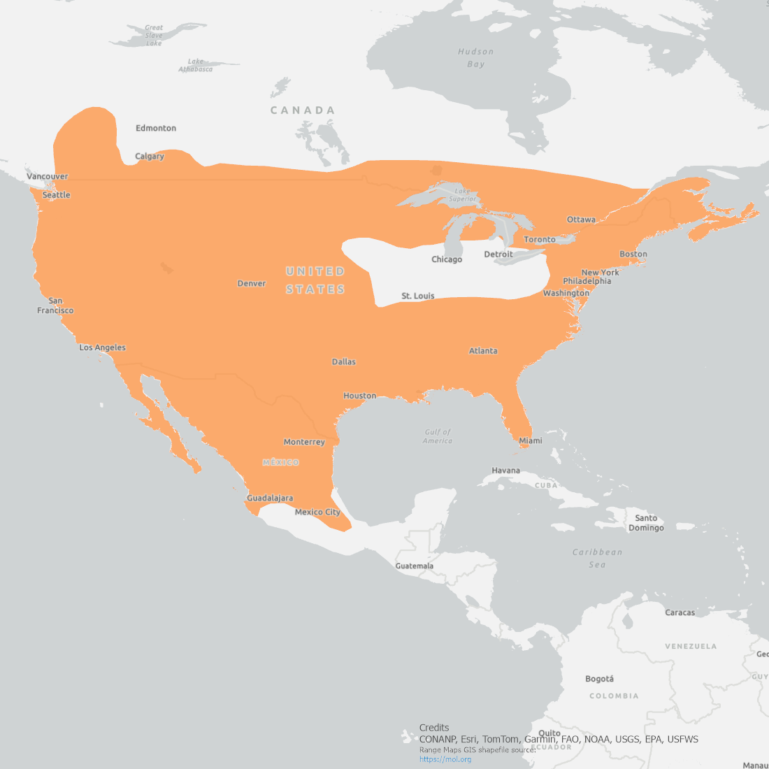 Bobcat Range Map covering most of North America