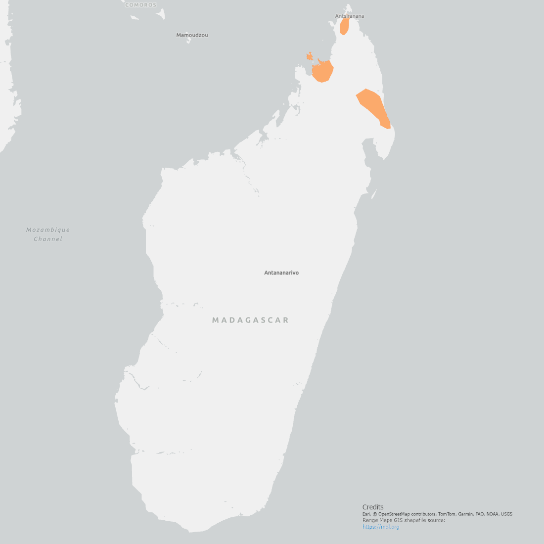 Giant Madagascar Day Gecko Range Map with small pockets shown in the Northern tip of Madagascar