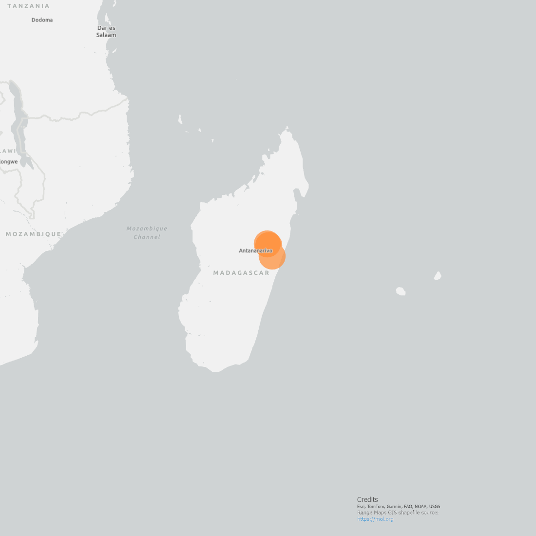 Golden Mantella Frog Range Map showing a small circular area on the Eastern coast