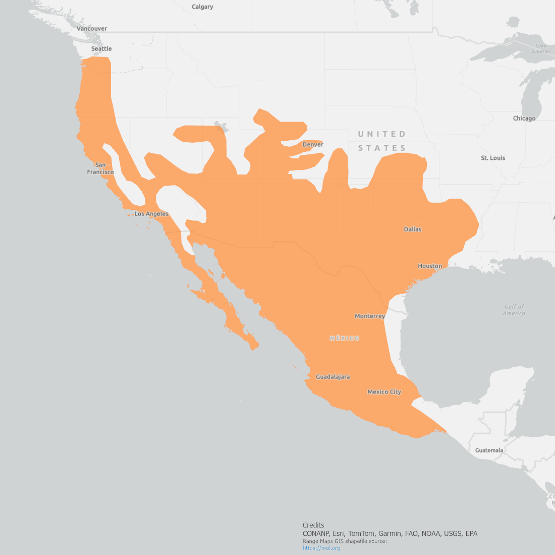 Ringtail range map covering the Southern portion on North America from Mexico up to Wyoming and West upto Washington
