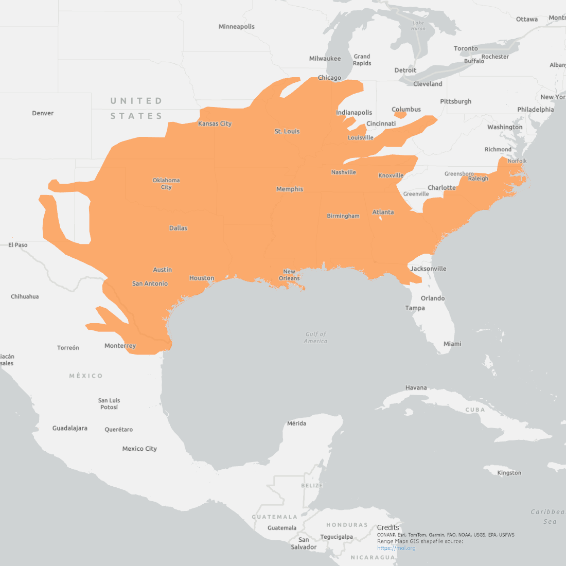 Yellow-bellied Slider Range Map showing coverage from Texas upto Missouri and down to the top of Florida and up the cost to Norfolk, Virginia.